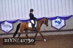 21YN_41750 thumbnail