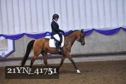 21YN_41751 thumbnail