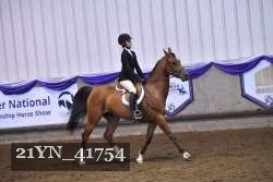 21YN_41754 thumbnail
