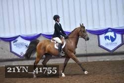 21YN_41755 thumbnail