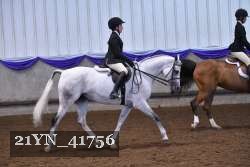 21YN_41756 thumbnail