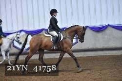 21YN_41758 thumbnail