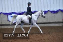 21YN_41761 thumbnail