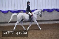 21YN_41762 thumbnail