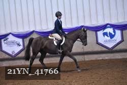 21YN_41766 thumbnail