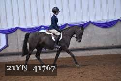 21YN_41767 thumbnail