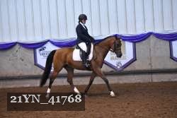 21YN_41768 thumbnail