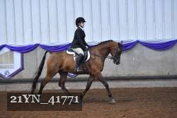 21YN_41771 thumbnail