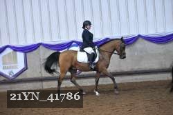 21YN_41786 thumbnail