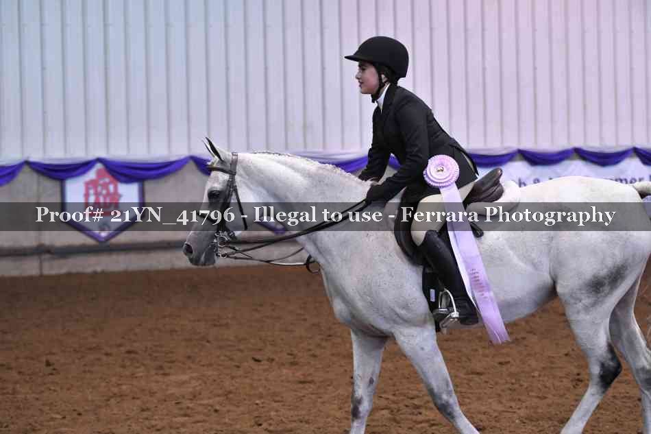 Proof Number 21YN_41796