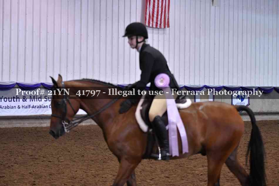 Proof Number 21YN_41797