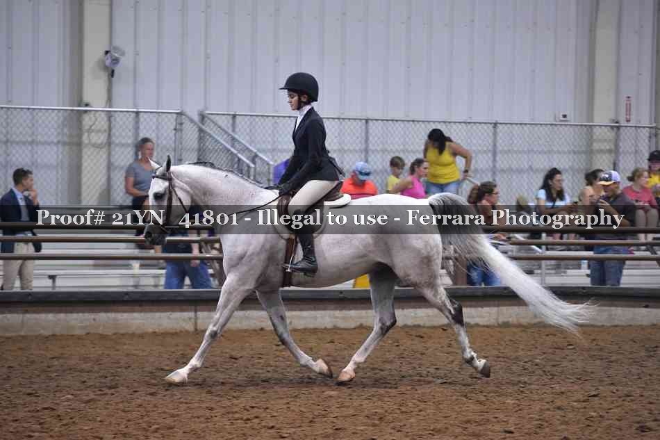 Proof Number 21YN_41801