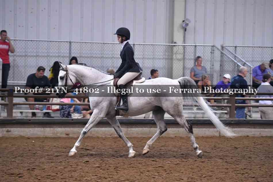 Proof Number 21YN_41802