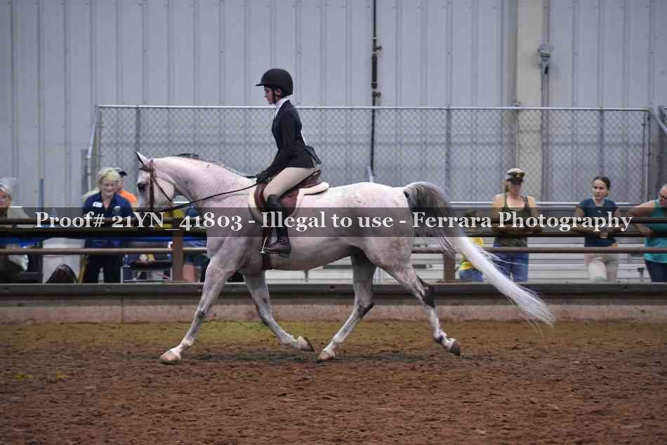 Proof Number 21YN_41803