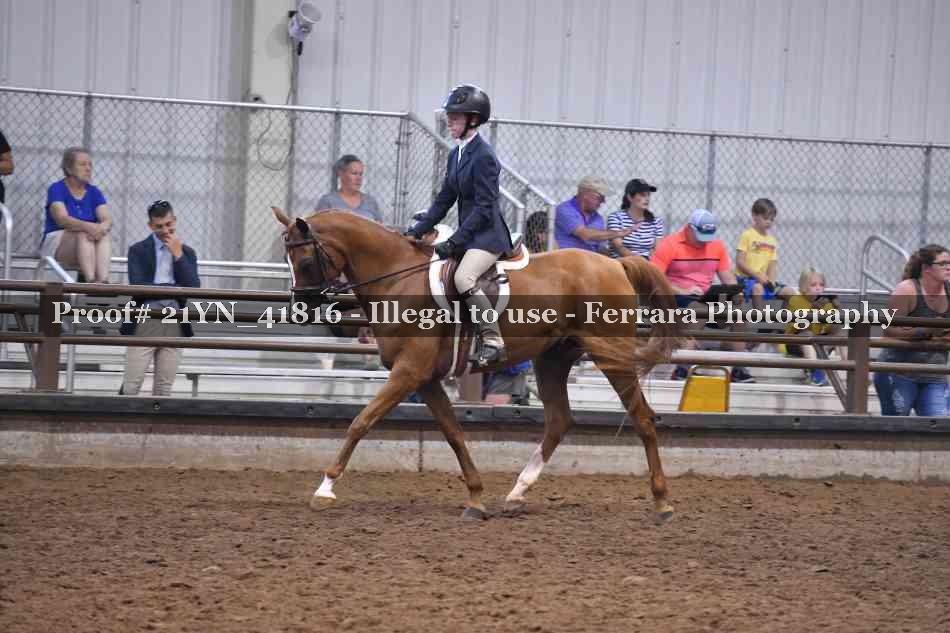 Proof Number 21YN_41816