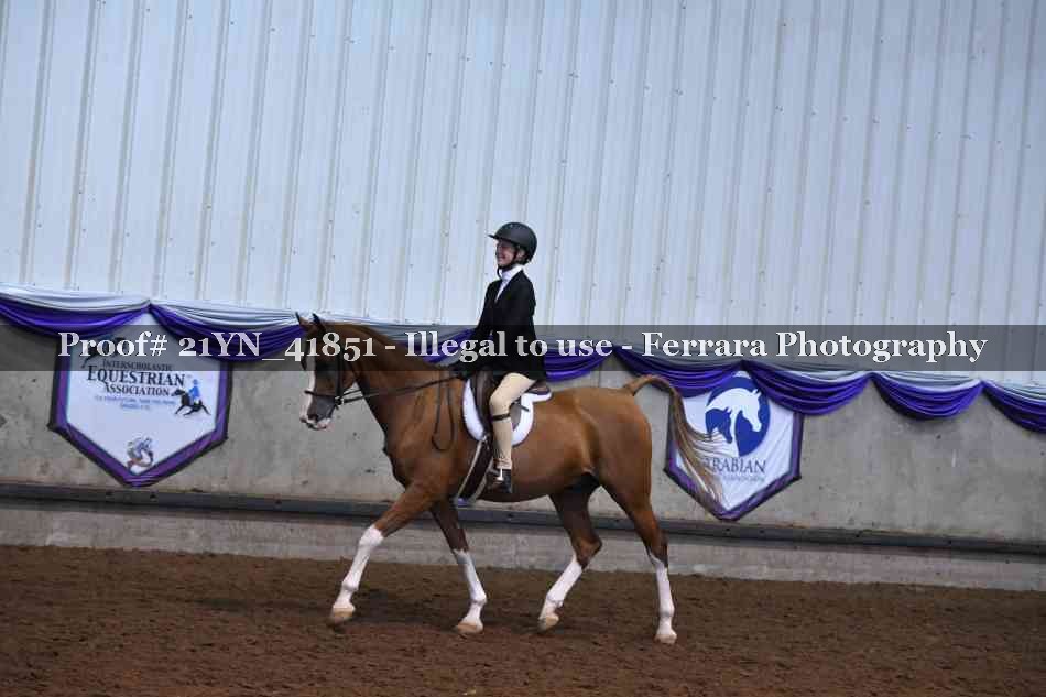 Proof Number 21YN_41851