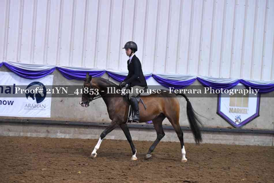 Proof Number 21YN_41853