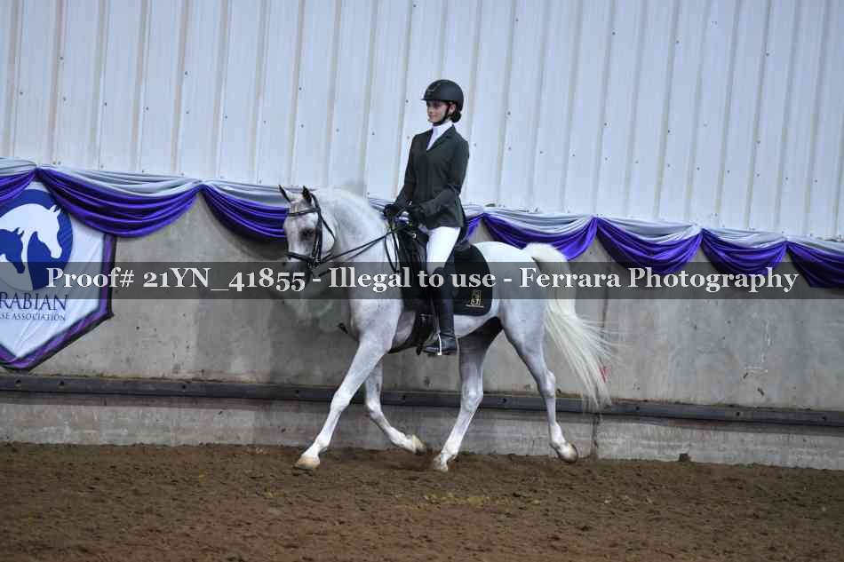 Proof Number 21YN_41855