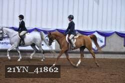 21YN_41862 thumbnail
