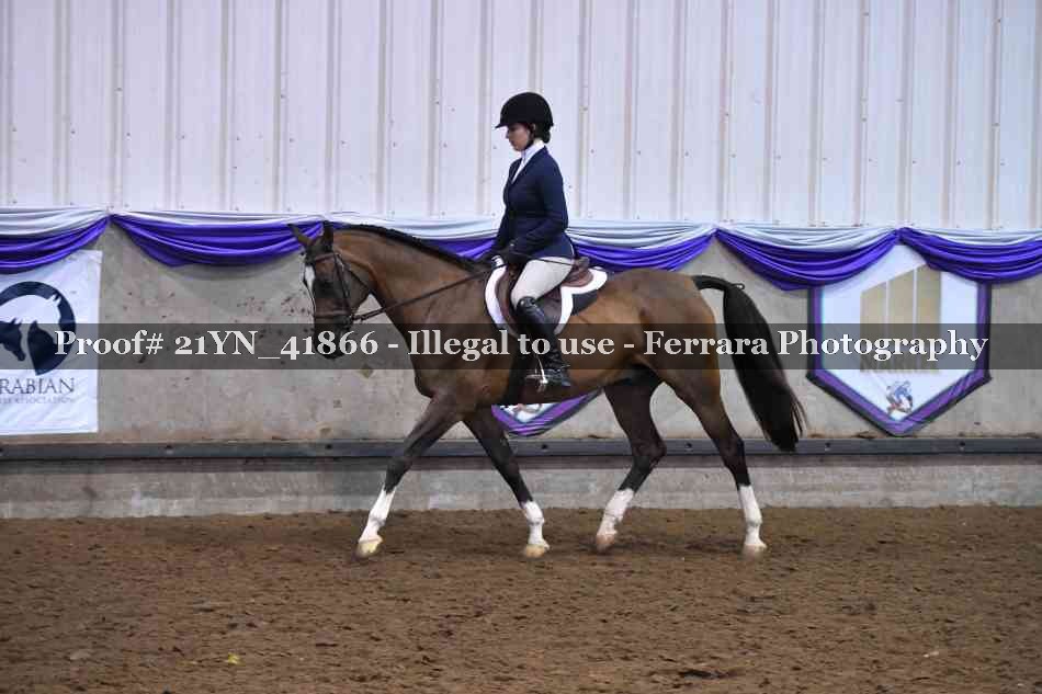 Proof Number 21YN_41866