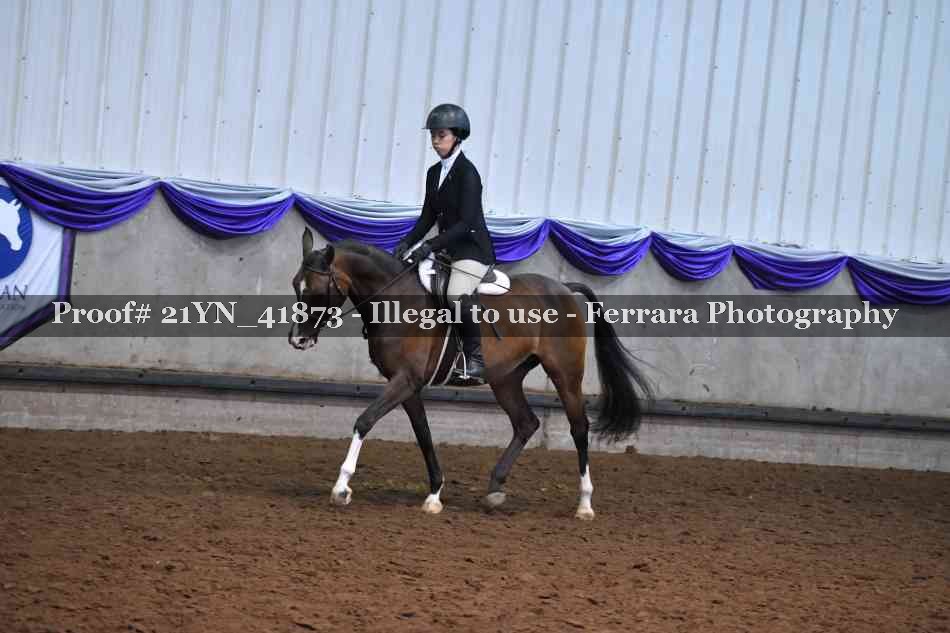 Proof Number 21YN_41873