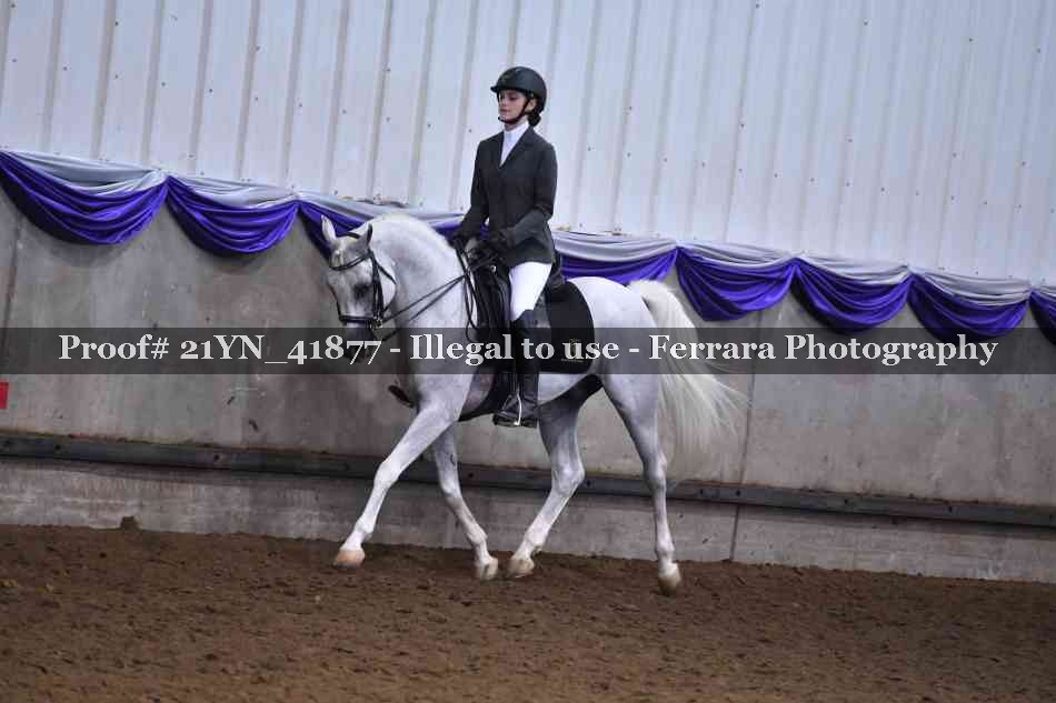 Proof Number 21YN_41877