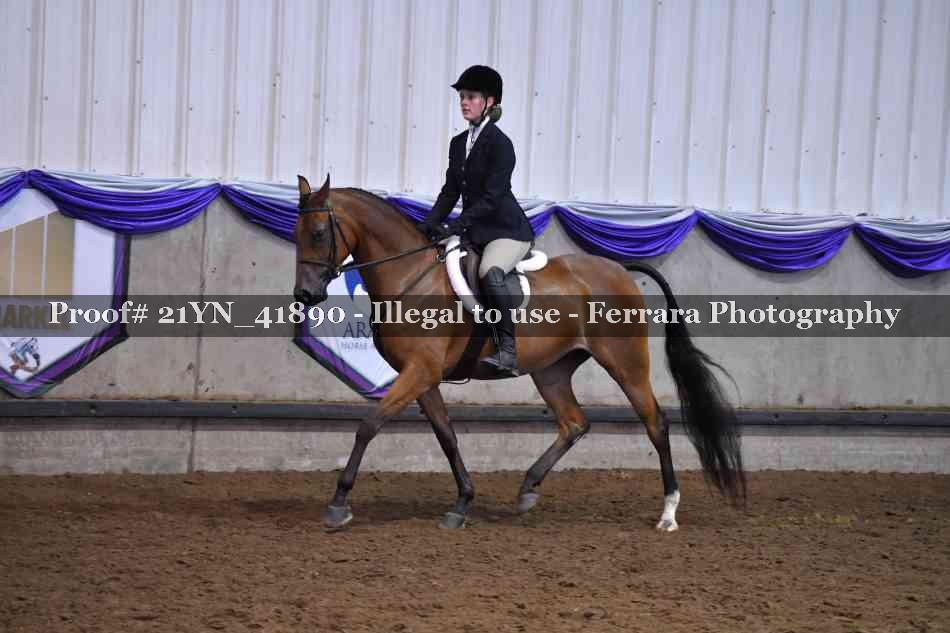 Proof Number 21YN_41890