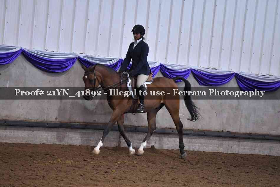 Proof Number 21YN_41892