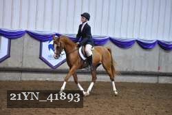 21YN_41893 thumbnail