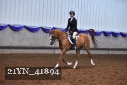 21YN_41894 thumbnail