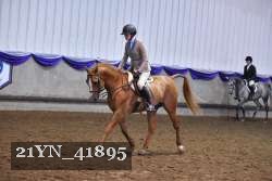 21YN_41895 thumbnail