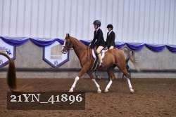 21YN_41896 thumbnail