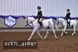21YN_41897 thumbnail