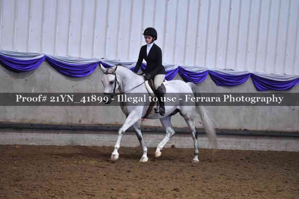 Proof Number 21YN_41899