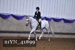 21YN_41899 thumbnail