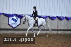 21YN_41900 thumbnail
