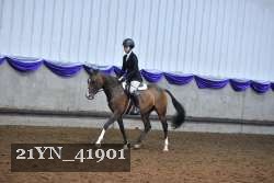 21YN_41901 thumbnail