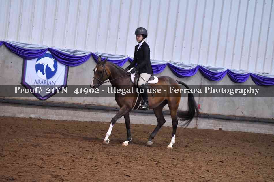 Proof Number 21YN_41902
