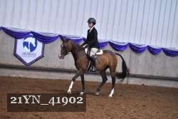 21YN_41902 thumbnail