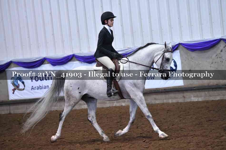 Proof Number 21YN_41903