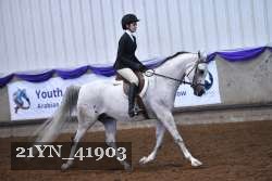 21YN_41903 thumbnail