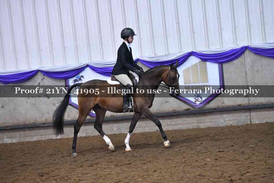 Proof Number 21YN_41905
