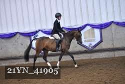 21YN_41905 thumbnail