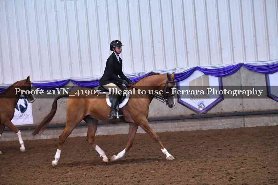 Proof Number 21YN_41907