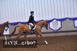 21YN_41907 thumbnail