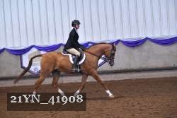 21YN_41908 thumbnail
