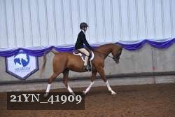 21YN_41909 thumbnail