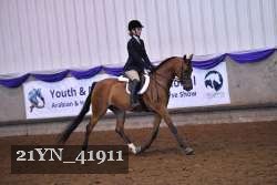 21YN_41911 thumbnail