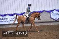 21YN_41913 thumbnail