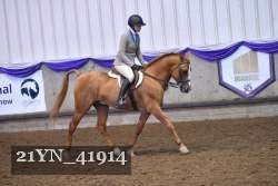 21YN_41914 thumbnail